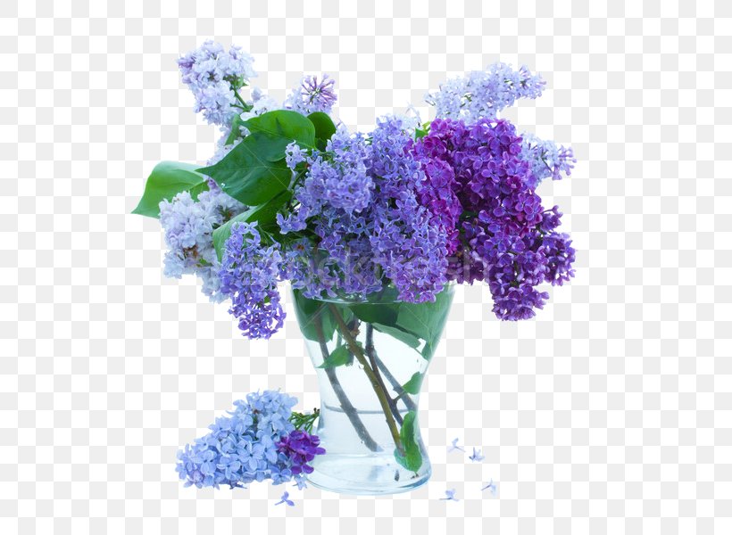 Vase Photography Lilac Fototapet, PNG, 565x600px, Vase, Annual Plant, Branch, Cut Flowers, Drawing Download Free