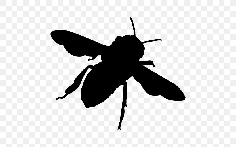 Bee Hornet Insect Yellowjacket Clip Art, PNG, 512x512px, Bee, Arthropod, Black And White, Bumblebee, Fly Download Free