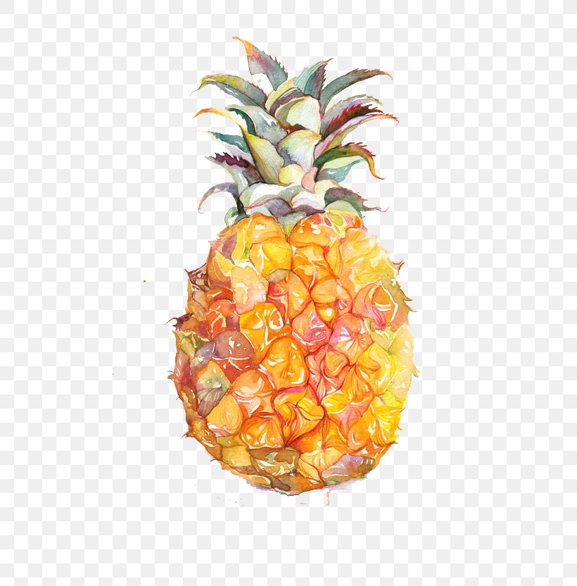 Juice Fruit Watercolor Painting Pineapple, PNG, 658x832px, Pineapple, Ananas, Bromeliaceae, Drawing, Food Download Free