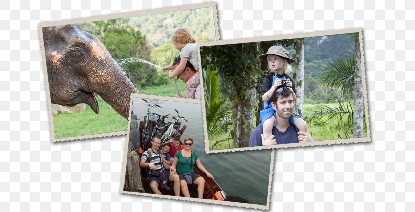 Khwae Yai River Hotel Family Elephants Travelnauts, PNG, 710x420px, Khwae Yai River, Beach, Boy, Child, Elephant Download Free