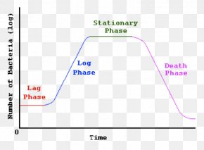 Sigmoid Function Shape Curve Geometry Graph Of A Function, PNG ...