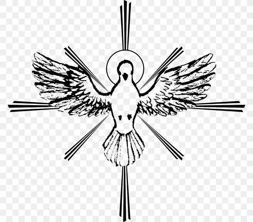 Holy Spirit Confirmation Pentecost, PNG, 770x720px, Holy Spirit, Beak, Bird, Black And White, Catholicism Download Free