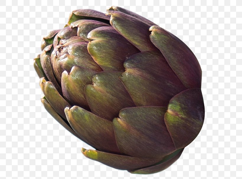 Artichoke Variety Vegetable Croissant Violet, PNG, 600x607px, Artichoke, Croissant, Cynara, Eating, Export Download Free