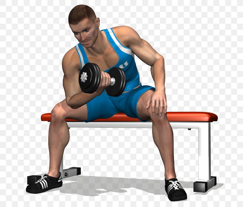 Dumbbell Biceps Curl Bench Flexion Marteau, PNG, 700x700px, Watercolor, Cartoon, Flower, Frame, Heart Download Free