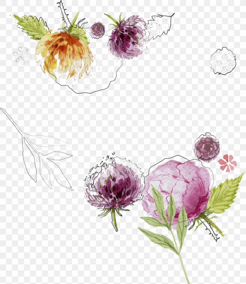Flower Plant Flowering Plant Red Clover Wildflower, PNG, 2475x2853px, Flower, Flowering Plant, Plant, Red Clover, Watercolor Paint Download Free