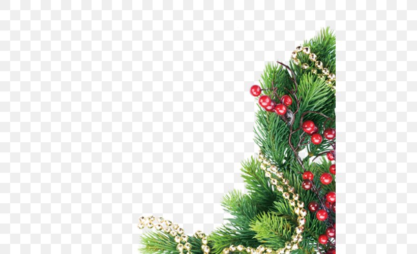 Christmas Gratis Download Festival, PNG, 500x500px, Christmas, Branch, Christmas Decoration, Christmas Ornament, Christmas Tree Download Free