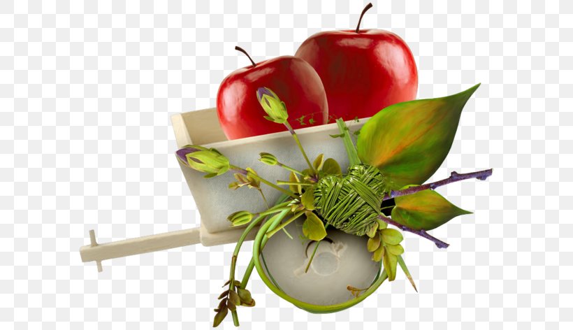 Apple Auglis, PNG, 600x472px, Apple, Auglis, Blog, Email, Floral Design Download Free