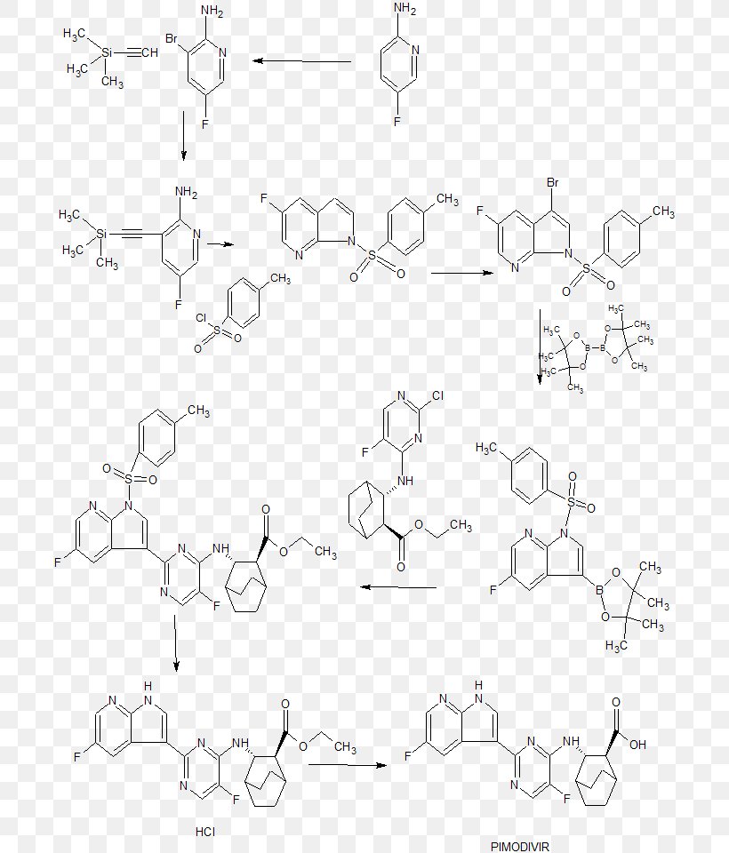 EML4-ALK Positive Lung Cancer Brigatinib Pharmaceutical Drug Cell, PNG, 698x960px, Eml4alk Positive Lung Cancer, Anaplastic Lymphoma Kinase, Area, Ariad Pharmaceuticals, Art Download Free