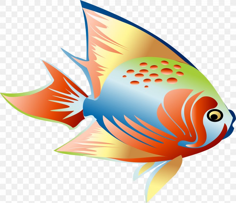 Fish Clip Art, PNG, 3001x2588px, Fish, Color, Marine Biology, Orange, Organism Download Free