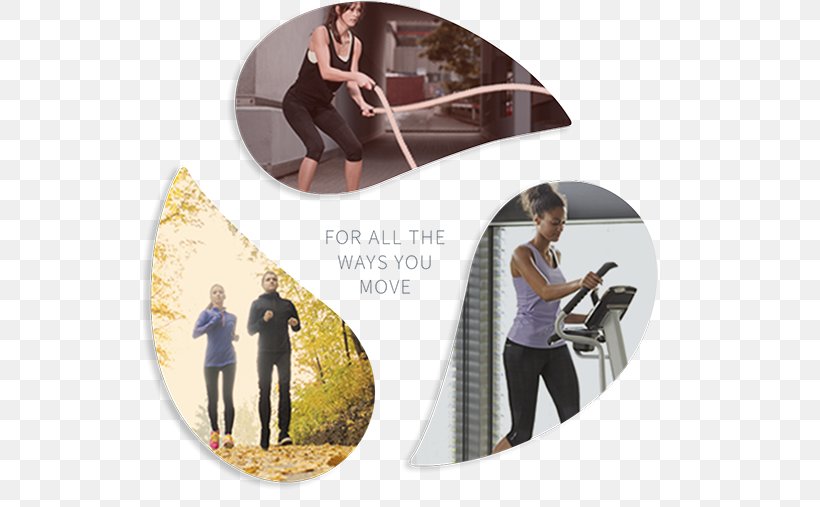Fitness Resource / Johnson Fitness & Wellness Store Elliptical Trainers Treadmill Exercise Physical Fitness, PNG, 533x507px, Elliptical Trainers, Atlanta, Brand, Exercise, Exercise Equipment Download Free