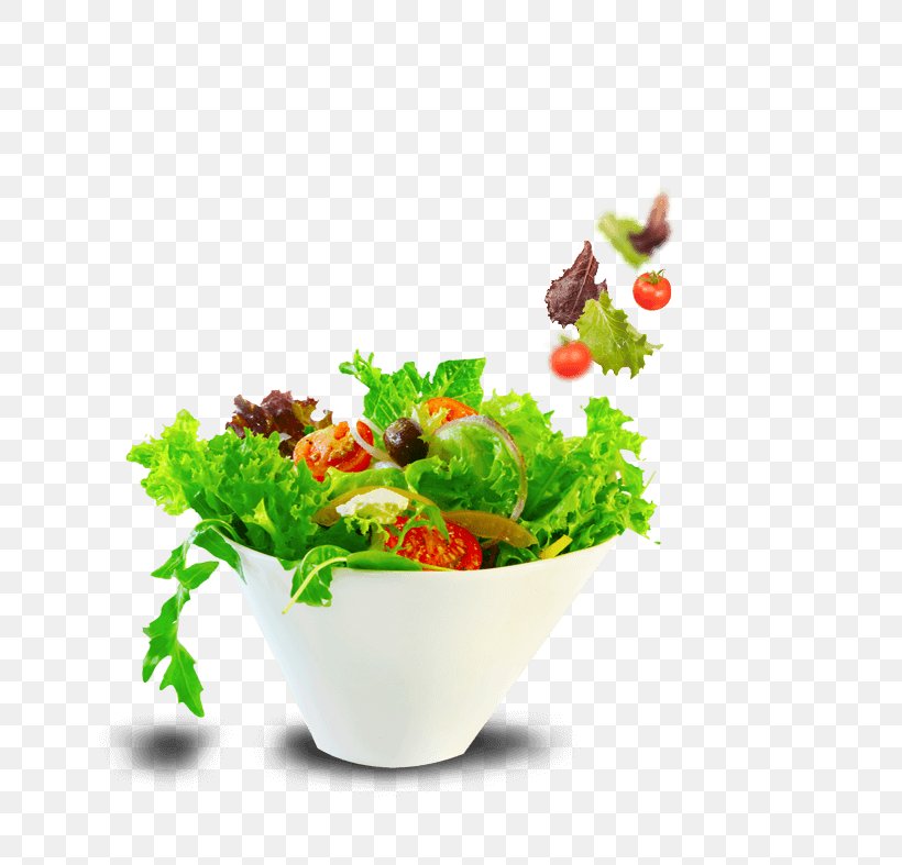 Greek Salad Raw Foodism Bowl Leaf Vegetable, PNG, 647x787px, Greek Salad, Bowl, Carrot, Eating, Flowerpot Download Free