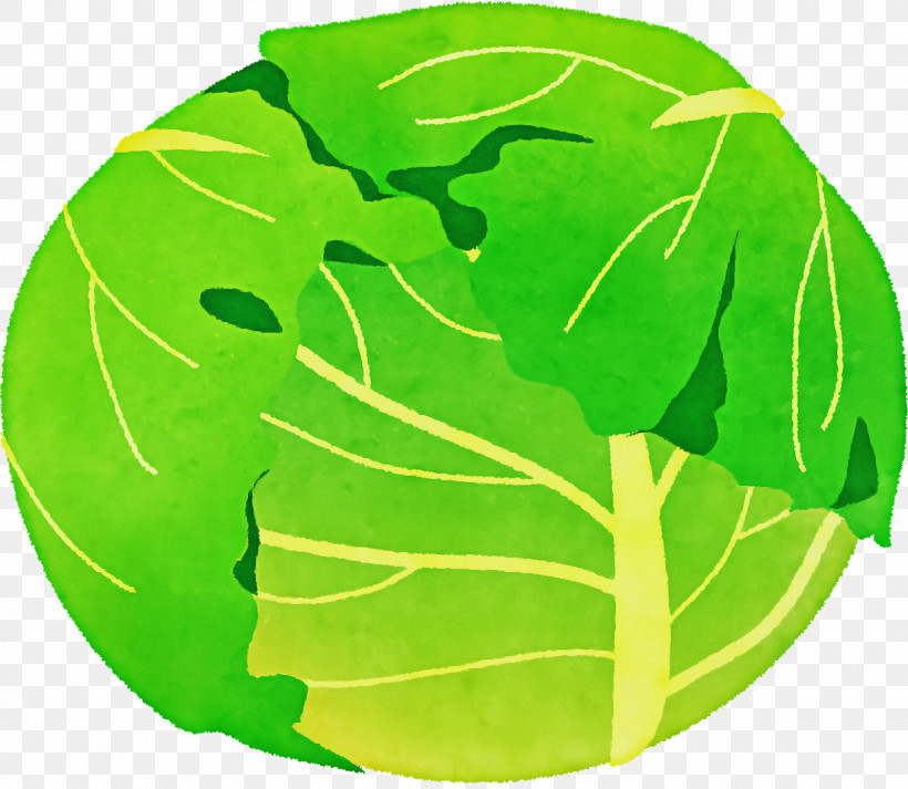 Leaf Vegetable Leaf Alocasia Red Cabbage Vegetable, PNG, 1600x1392px, Leaf Vegetable, Alocasia, Bud, Cabbage, Leaf Download Free