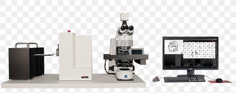 Optical Instrument Microscope Pathology Cytogenetics Chromosome, PNG, 4000x1578px, Optical Instrument, Biology, Cell, Cell Biology, Chromosome Download Free