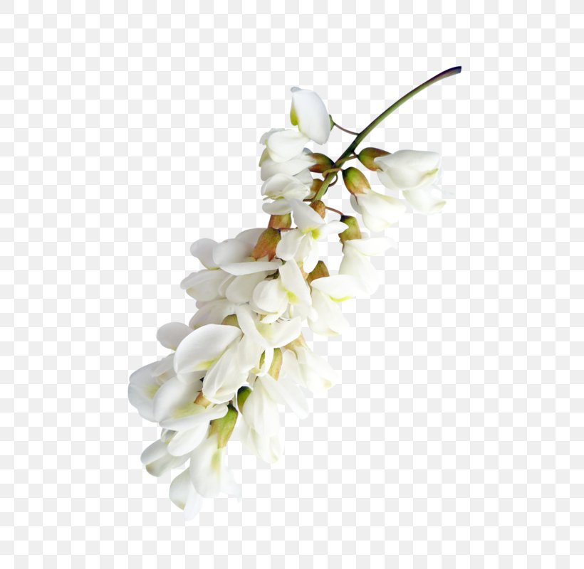Flowering Plant Floristry Flower Bouquet, PNG, 600x800px, Floral Design, Adobe Flash, Blossom, Cut Flowers, Dendrobium Download Free