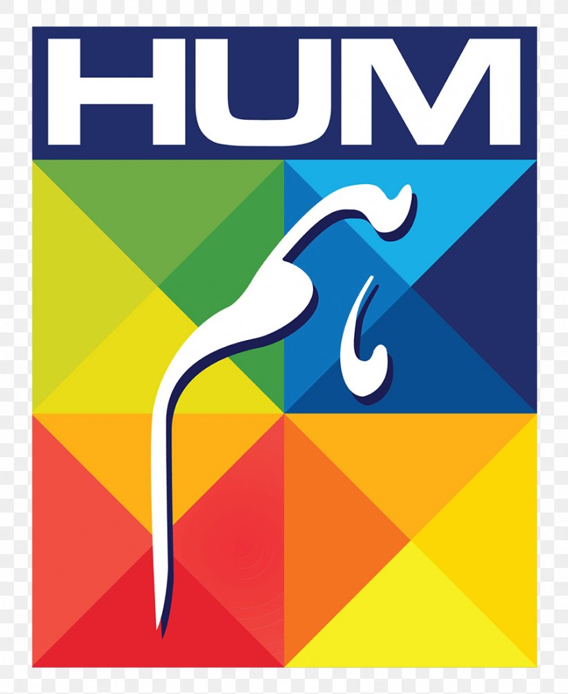 Pakistan HUM TV Television Channel Drama, PNG, 900x1100px, Pakistan, Area, Art Paper, Brand, Drama Download Free