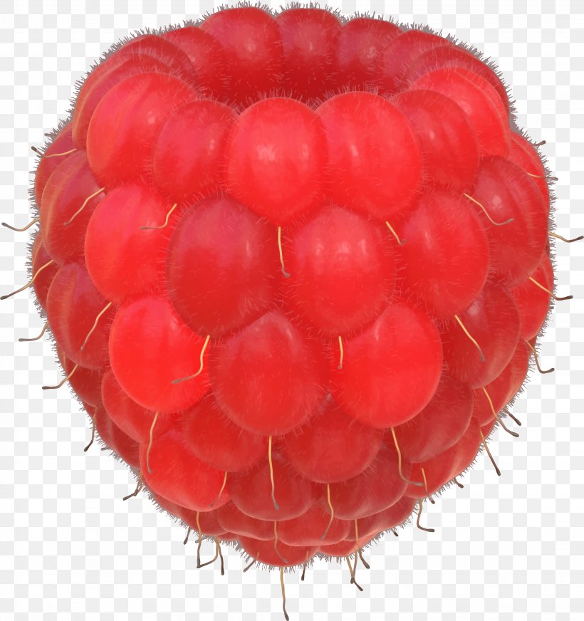 Raspberry Clip Art, PNG, 2256x2400px, Raspberry, Berry, Cartoon, Copyright, Food Download Free