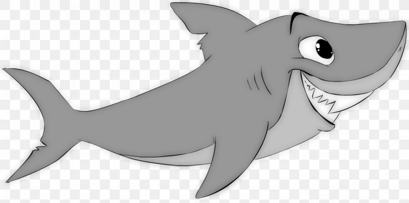 Requiem Shark Chondrichthyes Fish, PNG, 1023x508px, Shark, Canidae, Carnivora, Carnivoran, Cartilaginous Fish Download Free