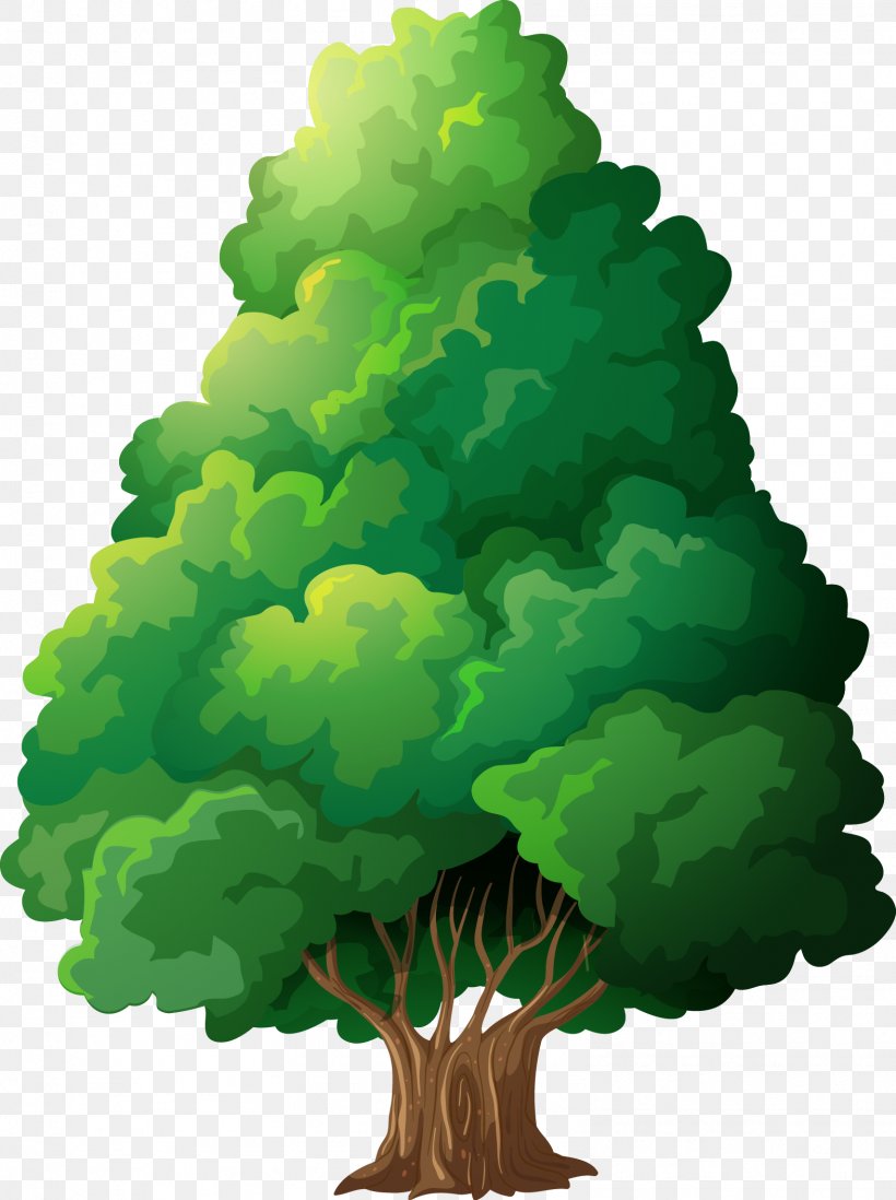 Tree Clip Art, PNG, 1572x2106px, Tree, Evergreen, Free Content, Green, Houseplant Download Free