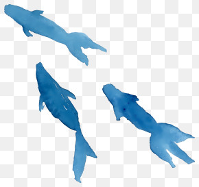 Cartoon - Blue Fish Watercolor Art PNG