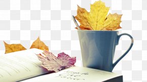 Free Time - Desktop Metaphor Display Resolution Autumn Computer Wallpaper PNG