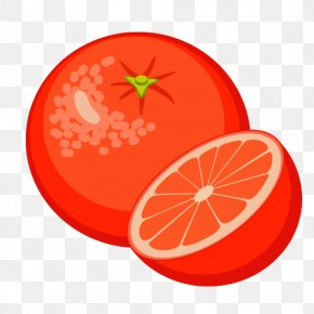 Orange Fruit Cartoon Clip Art, PNG, 1600x1516px, Orange, Animation,  Annoying Orange, Cartoon, Cartoon Network Download Free