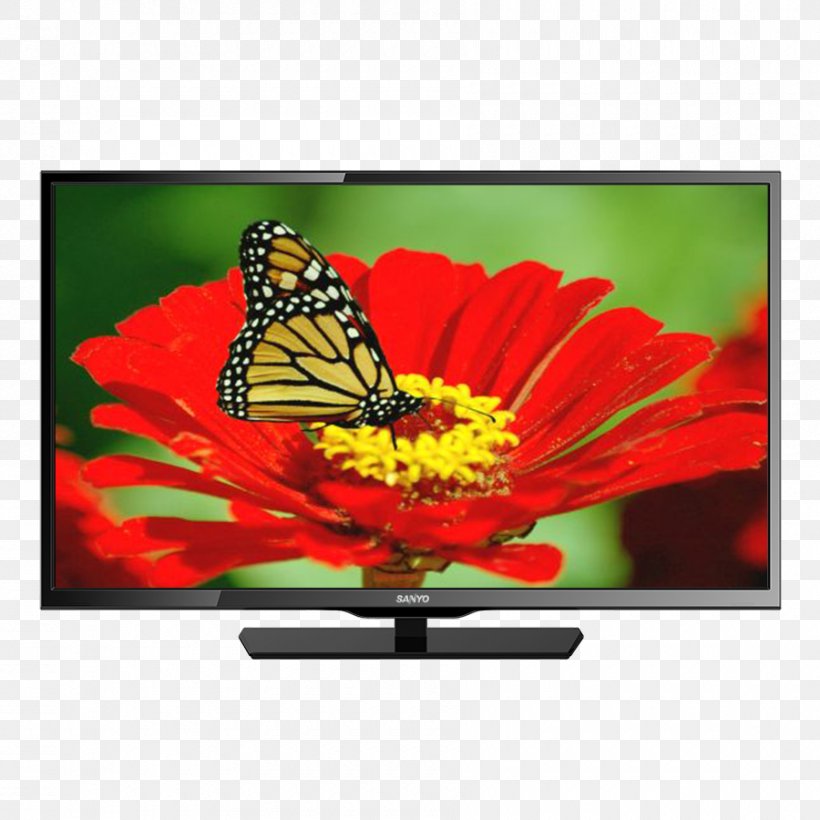 Television Set LED-backlit LCD Liquid-crystal Display High-definition Television Electronics, PNG, 900x900px, Television Set, Advertising, Brush Footed Butterfly, Butterfly, Computer Monitor Download Free