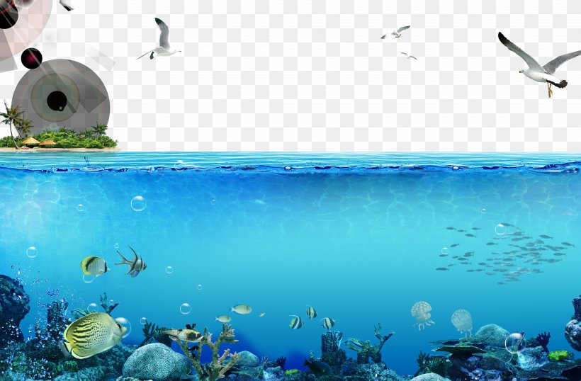 Underwater World, Singapore Deep Sea Fish, PNG, 3500x2300px, Underwater World Singapore, Blue, Deep Sea, Deep Sea Fish, Ecosystem Download Free