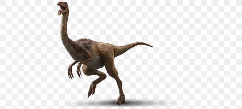 Velociraptor Gallimimus Tyrannosaurus Parasaurolophus Triceratops, PNG, 1440x651px, Velociraptor, Animal Figure, Baryonyx, Dinosaur, Gallimimus Download Free
