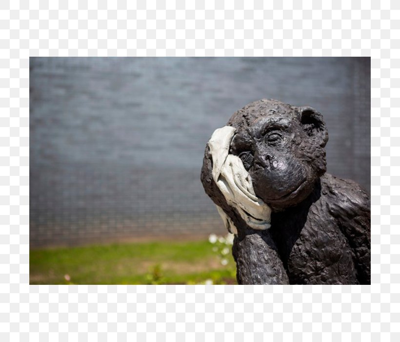 Beak Sculpture Snout Terrestrial Animal, PNG, 700x700px, Beak, Animal, Fauna, Grass, Sculpture Download Free