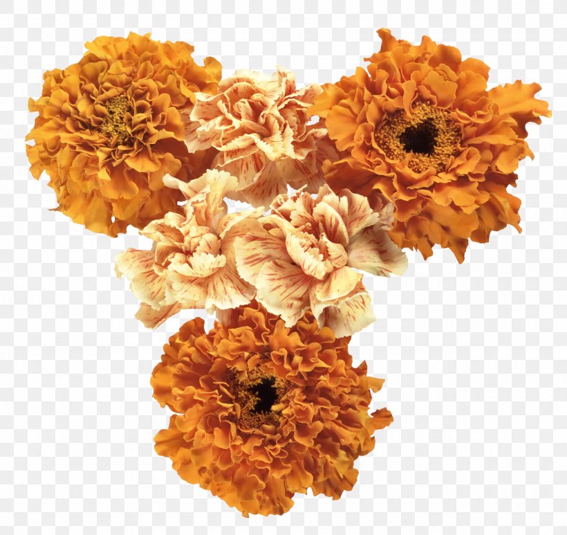 Cut Flowers Orange Photography, PNG, 1280x1208px, Flower, Albom, Blue, Calendula, Chrysanths Download Free