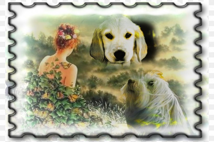 Golden Retriever Labrador Retriever Puppy Dog Breed Genuine Mediumship, PNG, 2322x1542px, Golden Retriever, Book, Breed, Carnivoran, Dog Download Free