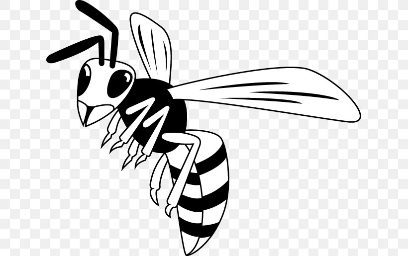 Honey Bee Black And White Insect Clip Art, PNG, 633x515px, Honey Bee, Art, Arthropod, Artwork, Bee Download Free