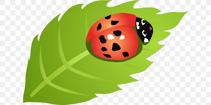 Ladybird Leaf, PNG, 642x410px, Ladybird, Beetle, Coccinella Septempunctata, Disease, Fruit Download Free