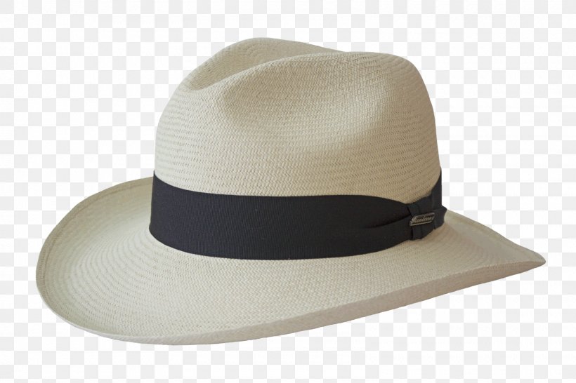 Panama Hat Fedora Cap Bonnet, PNG, 1600x1066px, Panama Hat, Air Jordan, Baseball Cap, Bonnet, Cap Download Free