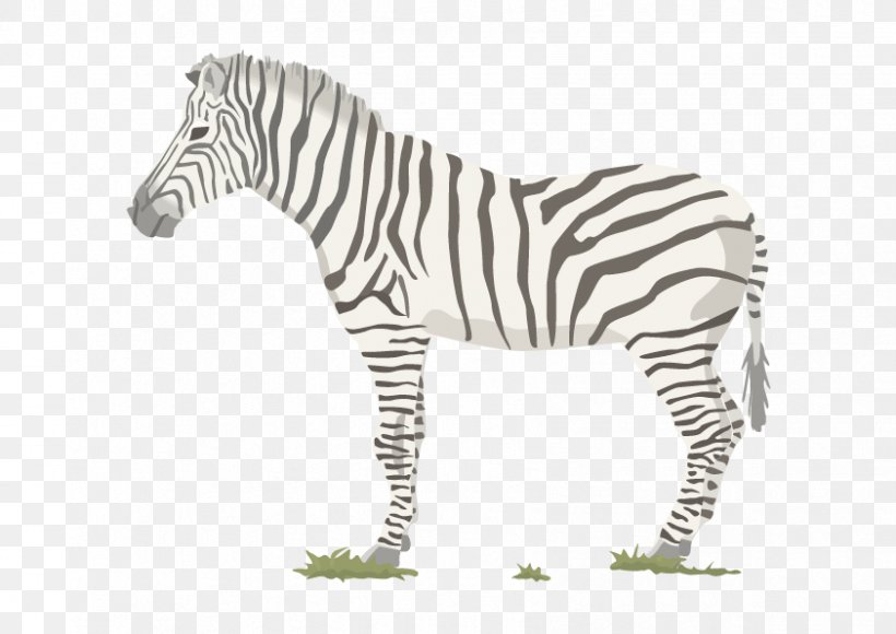 Zebra Food Chain Food Web Trophic Level, PNG, 842x596px, Zebra, Animal Figure, Autotroph, Black And White, Eating Download Free