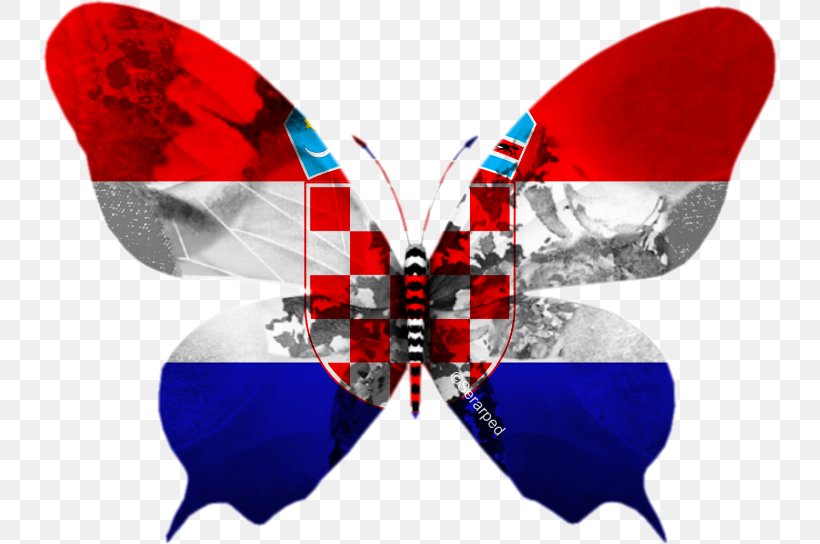 Butterfly Portugal Eurovision Song Contest 2013 Hungarians Hungary, PNG, 734x544px, Butterfly, Arthropod, Easter Egg, Eurovision Song Contest, Eurovision Song Contest 2013 Download Free