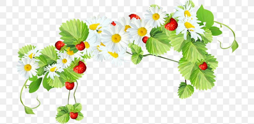 Flower Computer Clip Art, PNG, 720x403px, 2017, 2018, Flower, Blossom, Branch Download Free