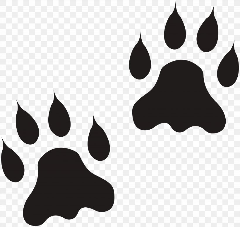 Lion Clip Art Paw Openclipart Polydactyl Cat, PNG, 8000x7556px, Lion, Animal, Animal Track, Black, Black And White Download Free