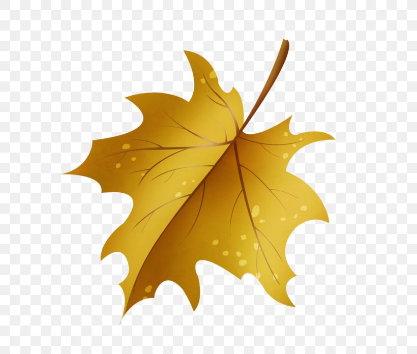 Maple Leaf Drawing Green, PNG, 699x696px, Maple Leaf, Animaatio, Autumn, Brown, Cartoon Download Free