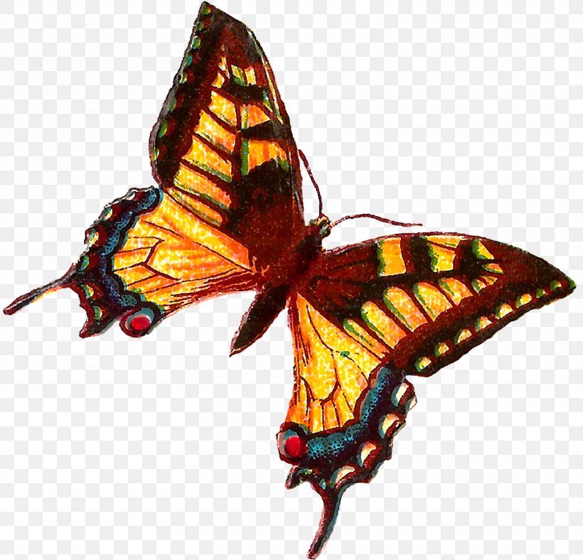 Monarch Butterfly, PNG, 1512x1453px, Monarch Butterfly, Borboleta, Brushfooted Butterflies, Brushfooted Butterfly, Butterflies Download Free