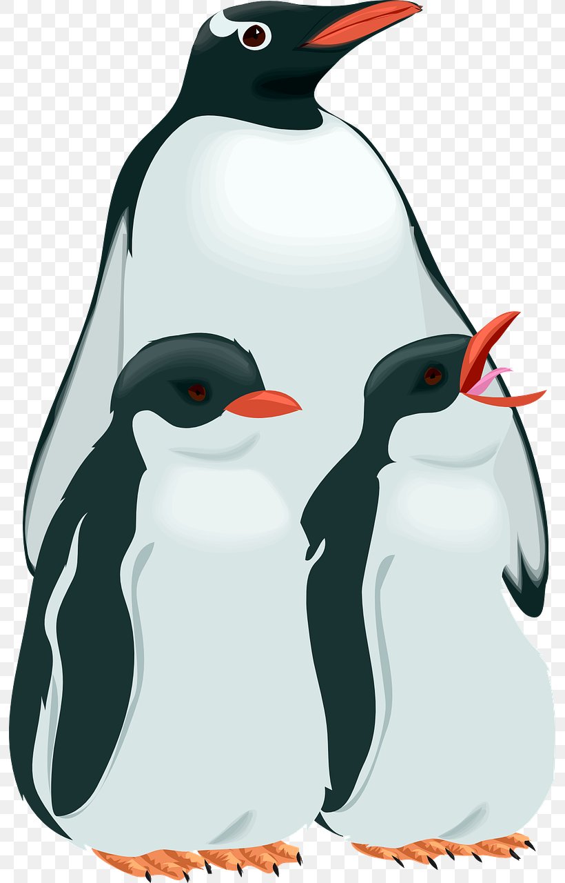 Penguin Royalty-free Clip Art, PNG, 793x1280px, Penguin, Beak, Bird, Duck, Fauna Download Free