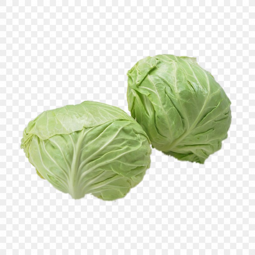 Napa Cabbage Vegetable Food Eating, PNG, 2362x2362px, Cabbage, Blanching, Brassica, Brassica Oleracea, Brassica Rapa Download Free