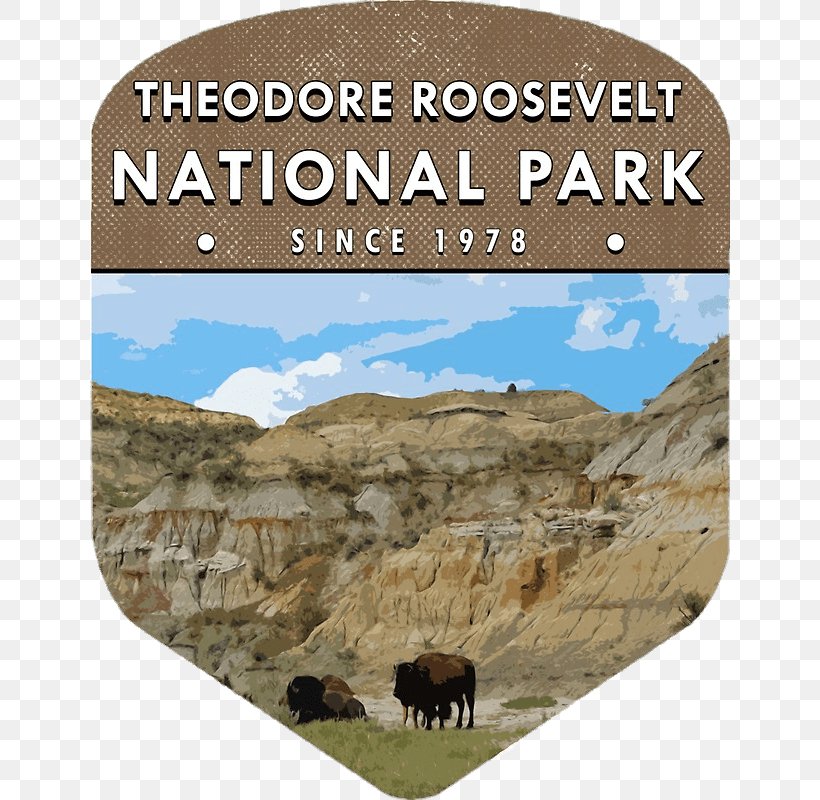 Theodore Roosevelt National Park Petrified Forest National Park North Cascades National Park Mammoth Cave National Park Badlands, PNG, 640x800px, Theodore Roosevelt National Park, Badlands, Cattle Like Mammal, Channel Islands National Park, Ecosystem Download Free