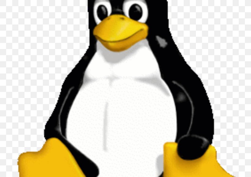 Tux Linux Distribution Arch Linux Linux Professional Institute Certification Programs, PNG, 770x578px, Tux, Arch Linux, Beak, Bird, Cinnamon Download Free