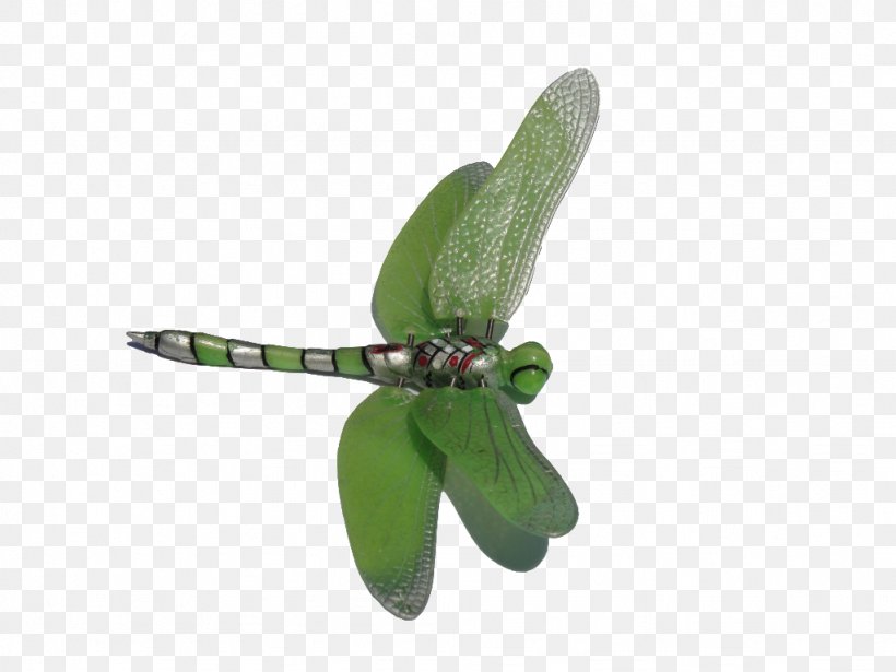 Dragonfly Download Clip Art, PNG, 1024x768px, Dragonfly, Bluegreen, Document, Drawing, Information Download Free