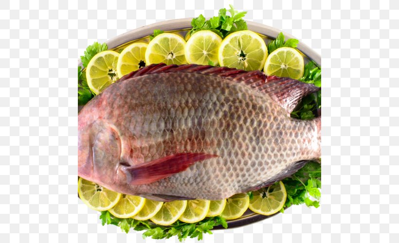 Kipper Tilapia Bengali Cuisine Fish Slice, PNG, 500x500px, Kipper, Animal Source Foods, Bengali Cuisine, Dish, Fillet Download Free
