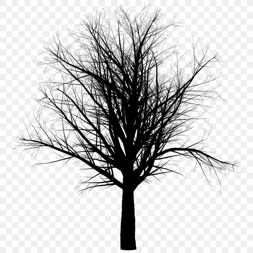 Dimitrie Gusti National Village Museum Tree Branch Autumn, PNG, 1280x1280px, Tree, Art, Autumn, Black And White, Branch Download Free