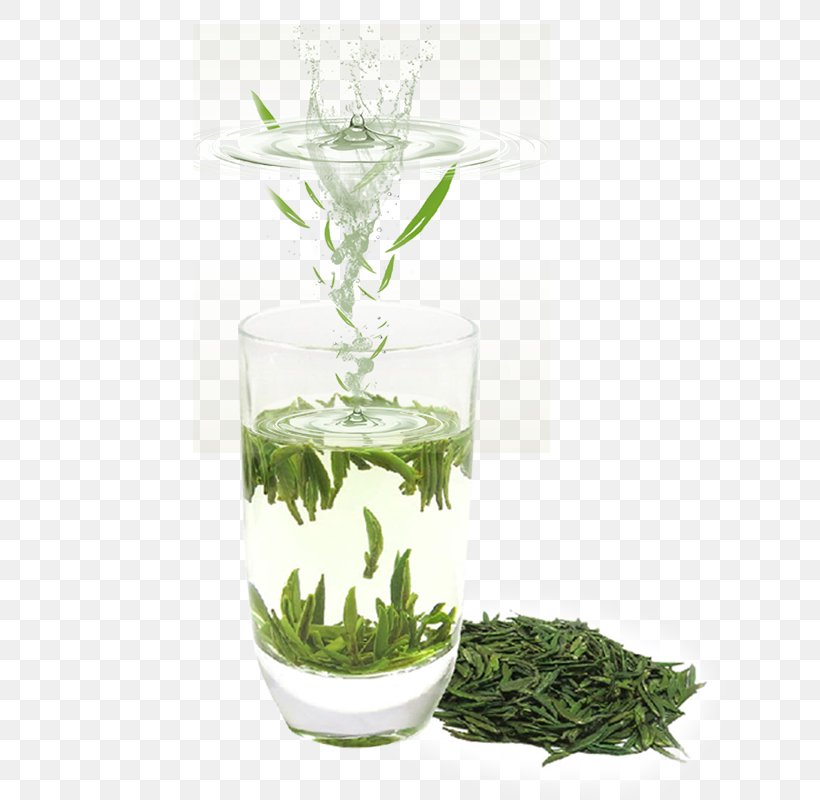 Green Tea Advertising, PNG, 644x800px, Tea, Advertising, Camellia Sinensis, Drink, Flowerpot Download Free
