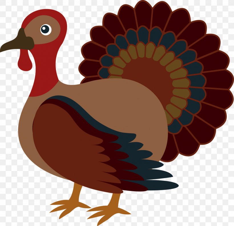 Turkey Meat Thanksgiving Clip Art, PNG, 1600x1548px, Turkey, Beak, Bird, Cartoon, Chicken Download Free
