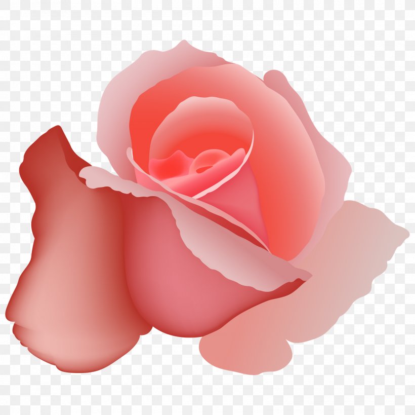 Vector Graphics Euclidean Vector Illustration Red Rose, PNG, 1600x1600px, Red, Can Stock Photo, China Rose, Close Up, Cut Flowers Download Free